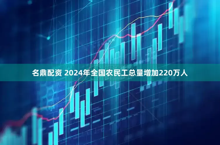 名鼎配资 2024年全国农民工总量增加220万人
