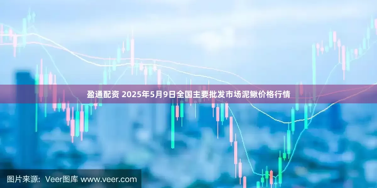 盈通配资 2025年5月9日全国主要批发市场泥鳅价格行情