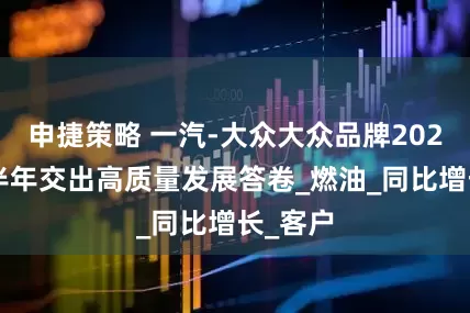 申捷策略 一汽-大众大众品牌2025年上半年交出高质量发展答卷_燃油_同比增长_客户