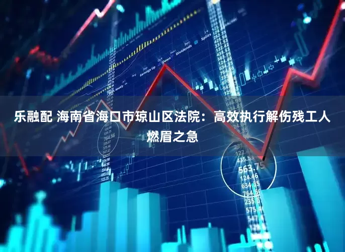 乐融配 海南省海口市琼山区法院：高效执行解伤残工人燃眉之急