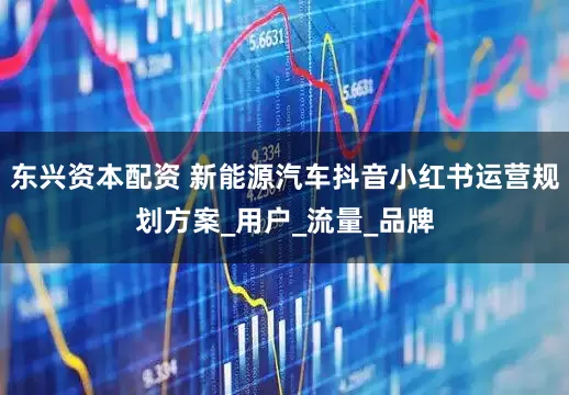 东兴资本配资 新能源汽车抖音小红书运营规划方案_用户_流量_品牌
