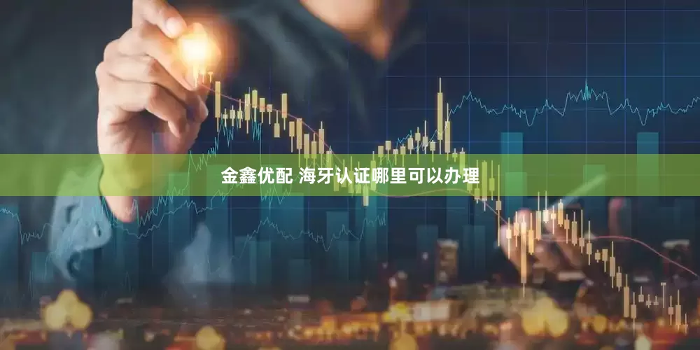 金鑫优配 海牙认证哪里可以办理