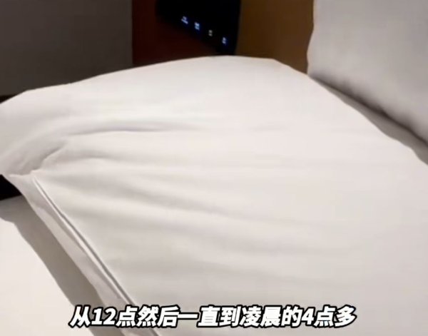 匠心智策 “连换5间房，每间床上都有活虫！”事发上海一新开高档酒店